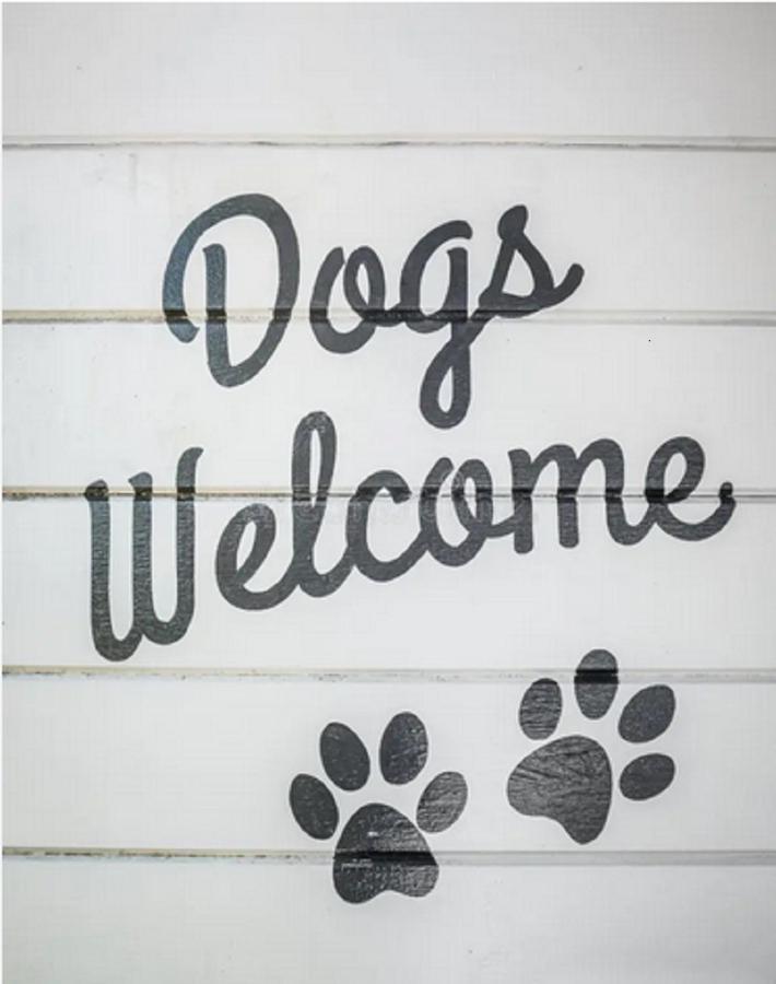 شقة Jasmine'S Retreat - Pet Friendly, إنغولدميلز المظهر الخارجي الصورة